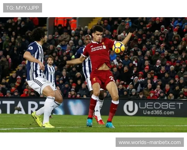 ued体育平台全面解析:如何选择最适合你的体育娱乐平台 ued体育平台全面解析:如何选择最适合你的体育娱乐平台